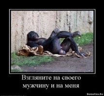 3 причины, почему мужчина должен быть чуть красивее обезьяны