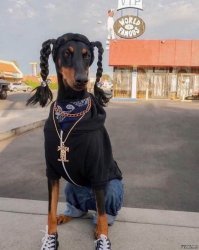 Фотоподборка