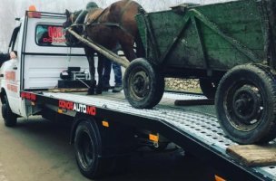 25 фотографий с загадочной русской душой, от которой иностранцам не по себе