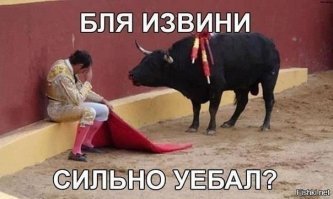 Фотоподборка со всякими зверушками