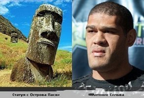 Семья копирует обложки легендарных музыкальных альбомов