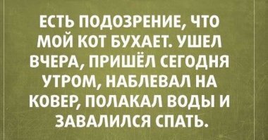 Смешные картинки с надписью