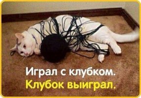 Смешные картинки с надписью