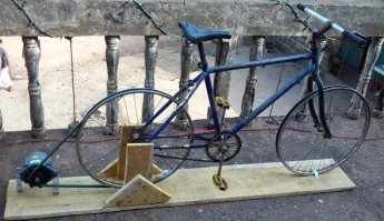 как оздоровить хомячков, да еще сэкономить (подзаработать) ?