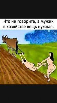 Смешные картинки с надписью