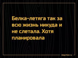 Это они не летают, а планируют...