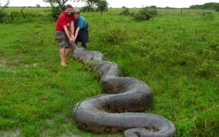 Анаконду завели. Ага, мля, сказочник. Почитай хоть про размеры. С удавом или питоном все перепутал))