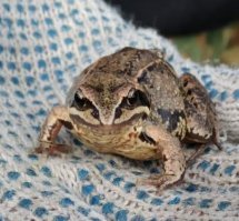 Позитивненько )