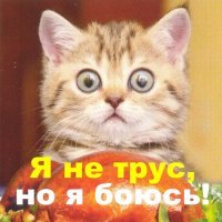 Демотиваторы для поднятия настроения в понедельник  