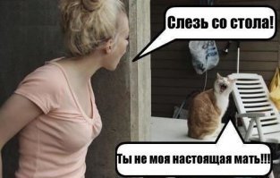 Фотоподборка