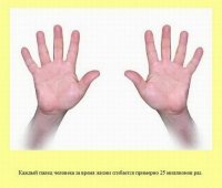 а указательный палец сгибается в раз 100 больше, чем остальные, особенно когда на работе за пк сидишь ))