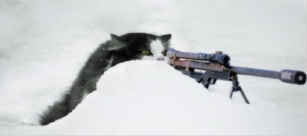 Не можно, а нужно. Только поправку на ветер не забудь сделать.