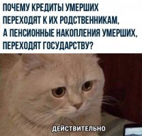 Прикольные и смешные картинки