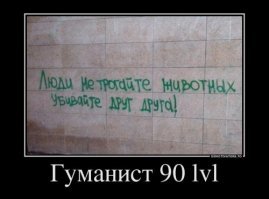 Фото без слов