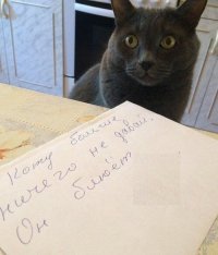 Ржачно !