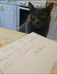 хм... а я видел эту картинку без купюр...