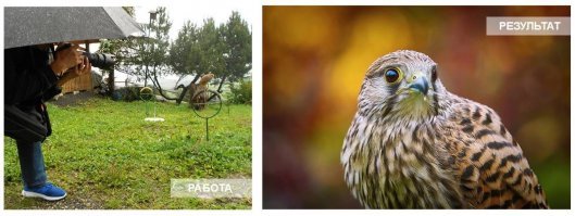 Вставлю свои 5 копеек: труд моего супруга :)