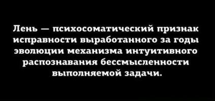 Члены Лиги лени и их очередной мастер-класс