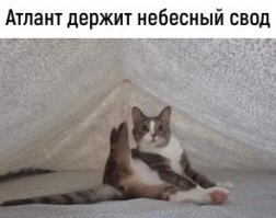 Прикольные и смешные картинки