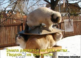 Прикольные и смешные картинки