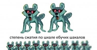 Истории и факты в увлекательных фотографиях