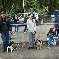 Девушка справа пытается коту глаз вырвать?