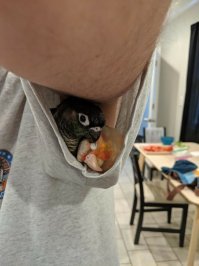 передать умиление на моей роже когда я это увидел - невозможно!...