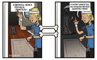 «Ни стыда ни совести»: фото питомцев, которые нашкодили и ни капли об этом не жалеют