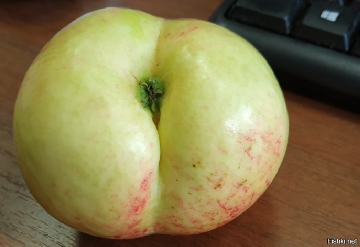 А мне вот яблочко попку показало.