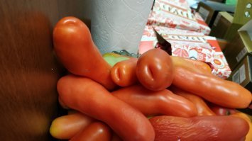 А помидоры хулиганистые.