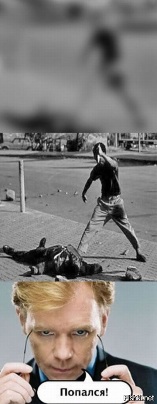 Истории и факты в увлекательных фотографиях