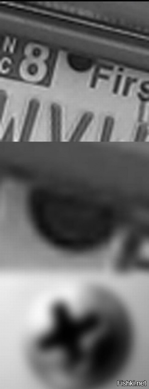 Истории и факты в увлекательных фотографиях