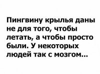 Ну, вообще-то, крылья у пингвинов - это плавники. Они необходимы.
Людям тоже мозг нужен. только, одним, чтобы им думать. А вторым - как утяжелитель, чтобы задница не перевешивала!
