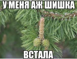А рука нет.