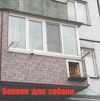 Фото без слов