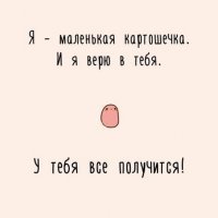 Урожай картофеля в этом году приятно удивил