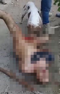 Надо им показать древний мексиканский обычай и спросить как они хотят, по закону или...