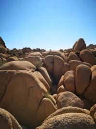 20 доказательство того, что овощи эволюционировали и готовы к общению