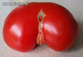 20 доказательство того, что овощи эволюционировали и готовы к общению