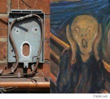 20 доказательство того, что овощи эволюционировали и готовы к общению