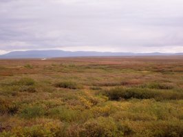 Фото, честно натырены, но все с моего края. Ну и видео о полезности прогулок в зимний период в условиях крайнего севера.