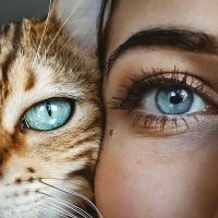 У кошака червь в глазу