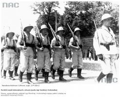 Официальная Варшава регулярно поднимала вопрос о наделении Польши заморскими колониями перед западными державами. От Франции требовали передачи Польше Мадагаскара, от Португалии   Мозамбика. В сентябре 1936-го Юзеф Бек с трибуны Лиги Наций обратился с требованием польского членства в комиссии по вопросам отобранных у Германии и Оттоманской империи колоний.