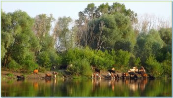 Средняя Полоса.Дон.