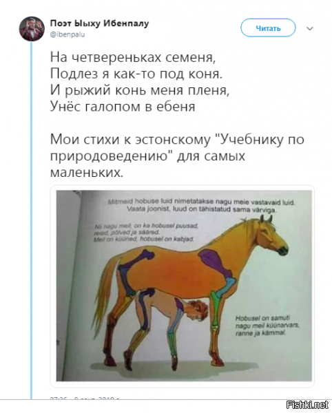 да они там жопу рвать учатся с детства..буквально!