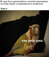 Возмущенный обвесом покупатель, громит барыге палатку