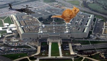 Нет войне, да - котикам: фотошопер соединяет гигантских котов и военную технику