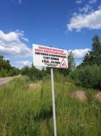 это еще что, вот сфоткал в Московской области...