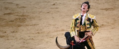 Справедливости ради надо отметить, что путь Альваро Мунеры к прозрению и раскаянию начался несколько по другому (примерно так, как на этом фото). Альваро увлекся теософией и встал на путь защитников животных ТОЛЬКО после того, как бык сделал его инвалидом, и, будучи серьезно травмирован, Альваро провел 4,5 года на реабилитации в частично парализованном состоянии.

А изложенная тут история - известный слезливый фейсбучный подлог 2012 года.