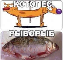 Публичная и скрытая стороны натуры звезд в фотографиях Эндрю Уолкера